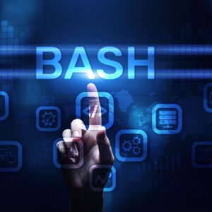 Bash Script Programozás